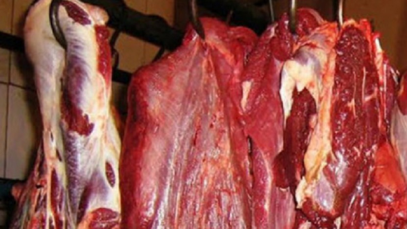 harga daging sapi turun