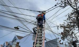 pln