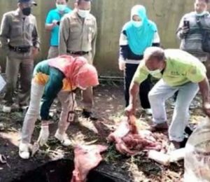 daging glonggongan