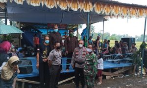 orgen tunggal