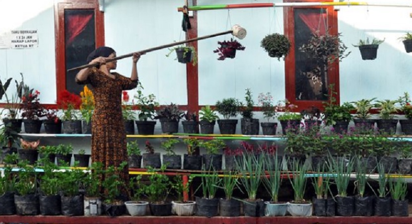 desa percontohan