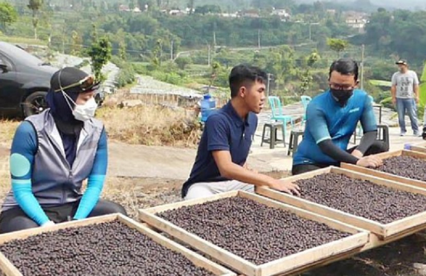 kopi milenial