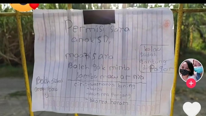 minta jampu pakai surat