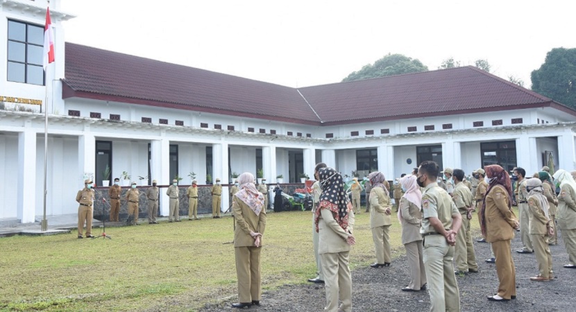 sektor pertanian