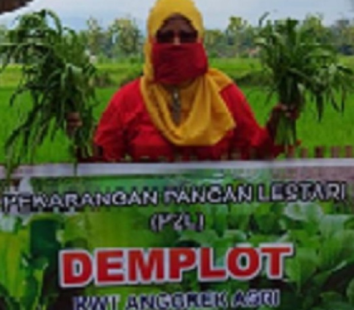 warga tanam sayuran