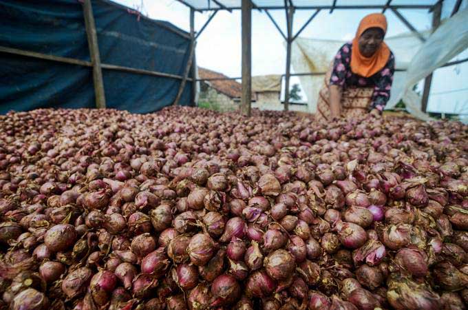 27j Bawang Merah