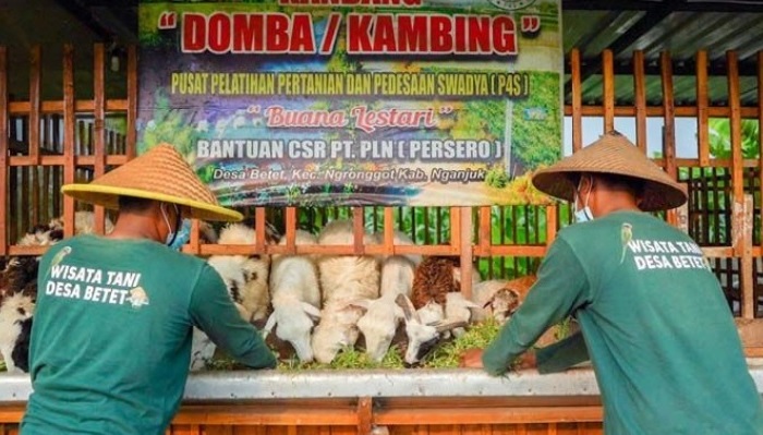 17kpln peduli 1