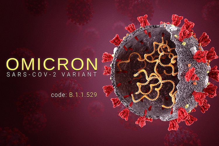 17lvirus omicron