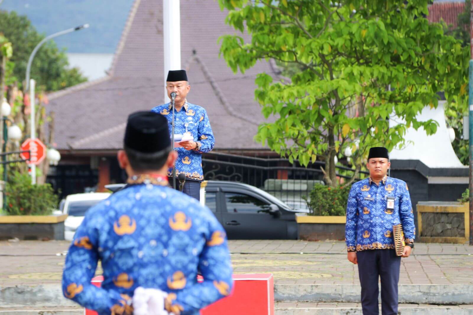 IMG 20221129 WA0213