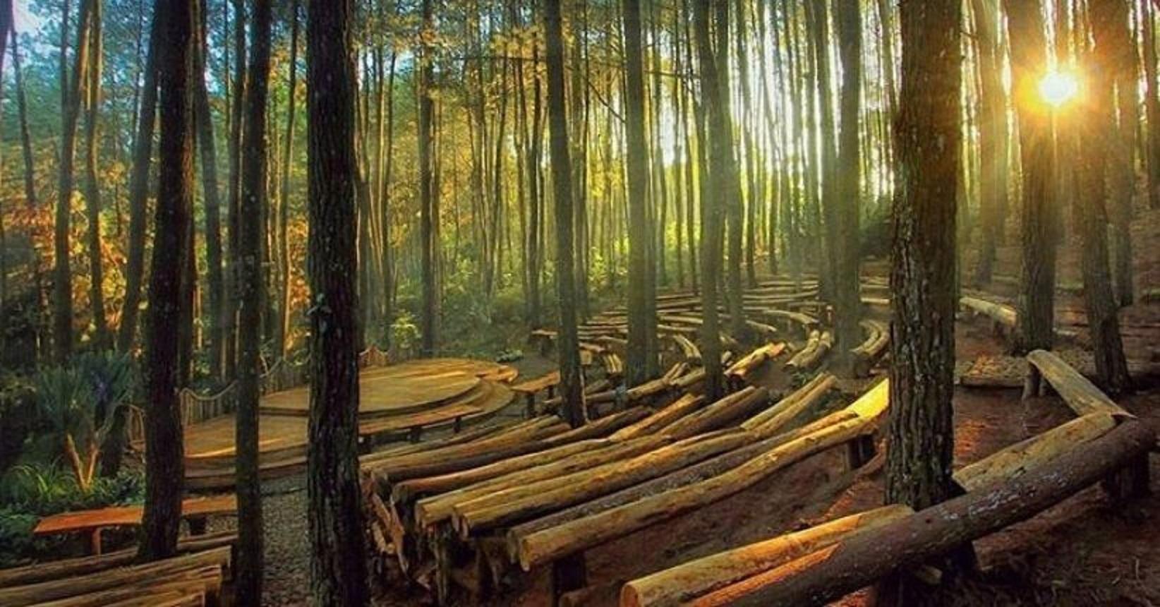 Hutan Pinus Mangunan