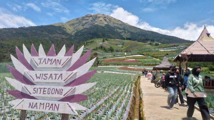 Negeri Sayur Sukomakmur