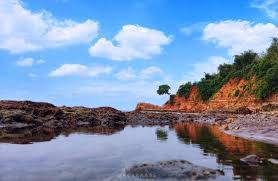 Pnatai Punuk sapi