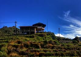 tieng wsb