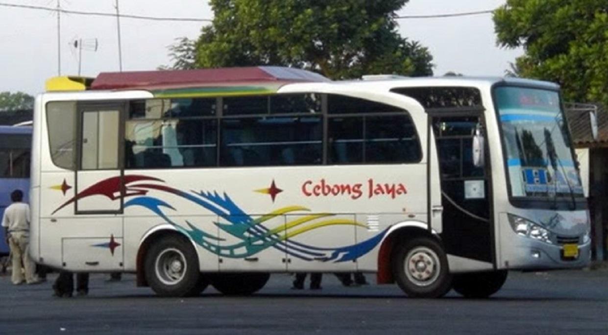 Cebong Jaya