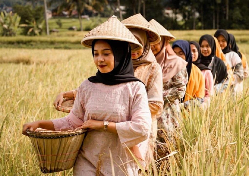 Desa Wisata Kubu Gadang