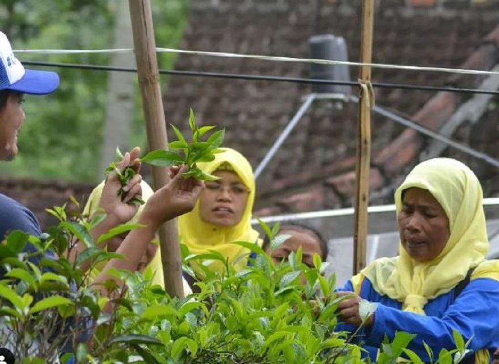 desa wisata conto 2