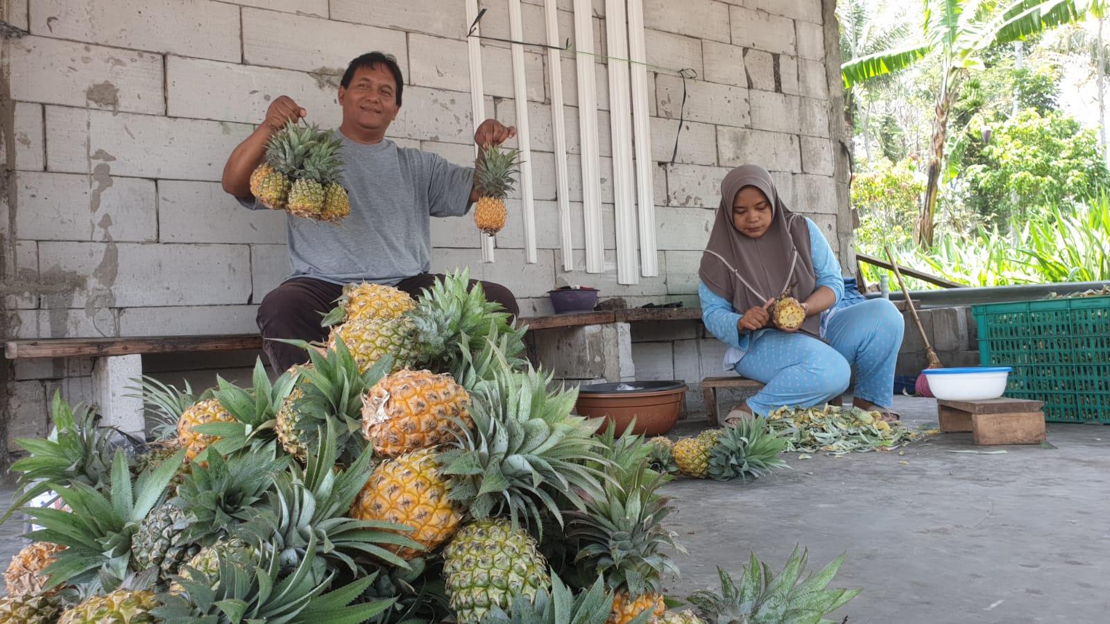 nanas madu