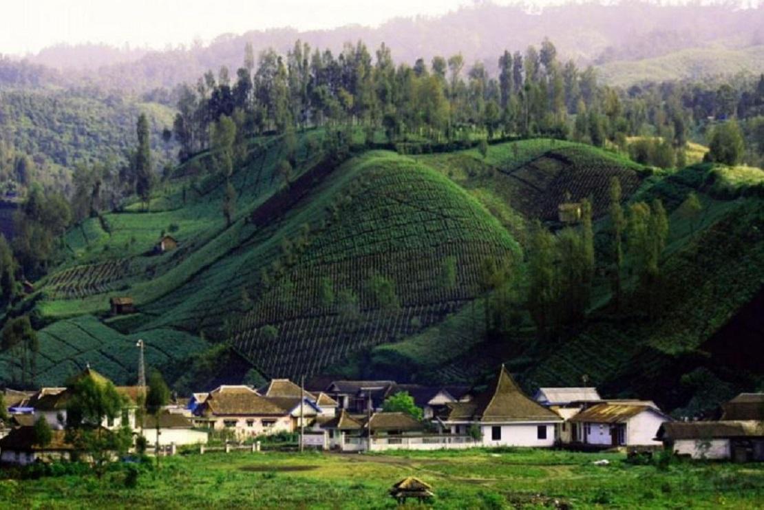 Desa Ranu Pani
