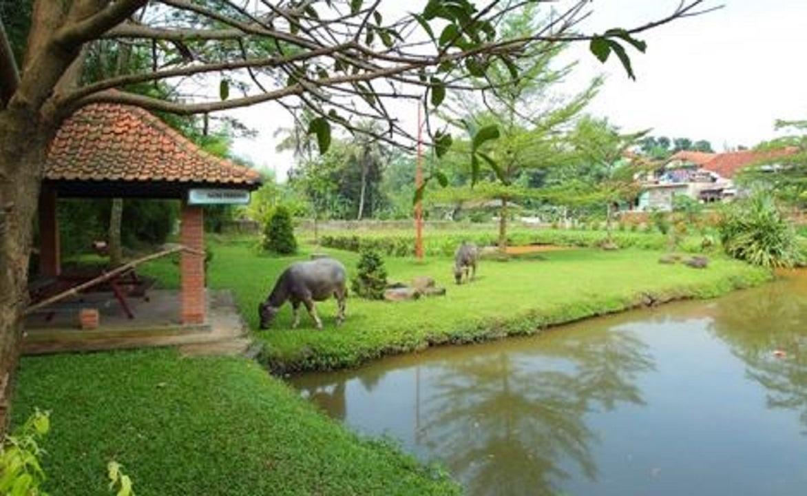 Desa Wisata Cinangneng Bogor Belajar tentang Pertanian dan Budaya Lokal