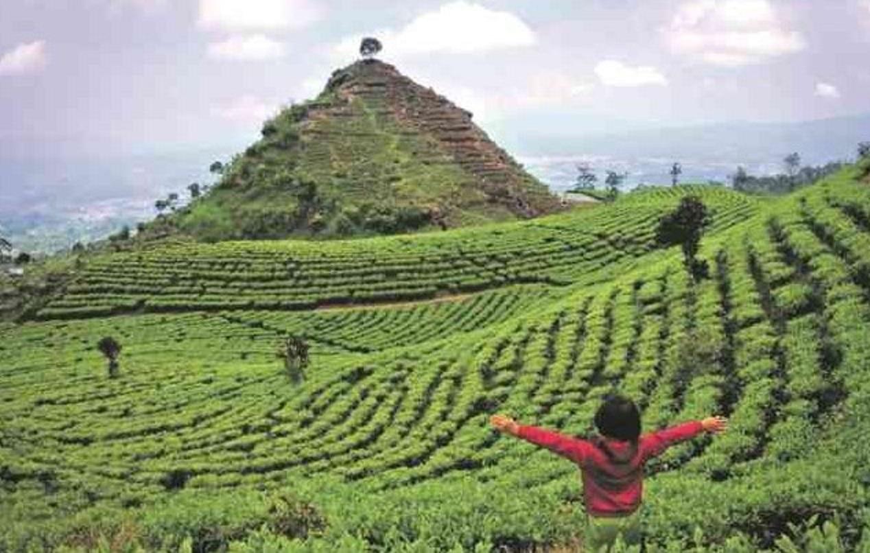 Gunung Cilik berada di Kecamatan Kertek, Kabupaten Wonosobo, Jawa Tengah.