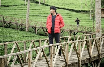 Pesona kebun teh Panama terletak di Tempuran, desa Tlogo, Kecamatan Garung, Kabupaten Wonosobo. foto: ist