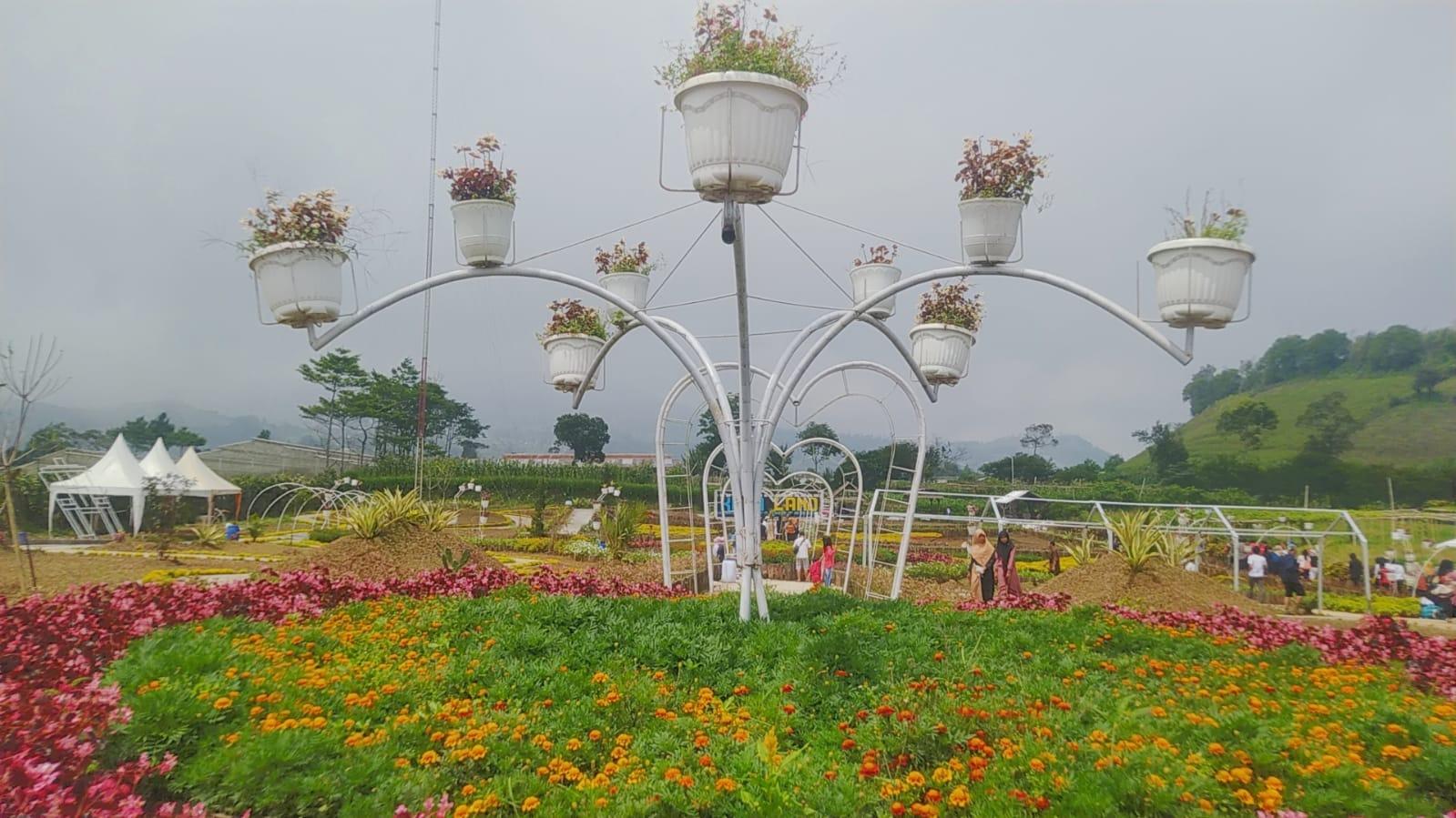 Taman