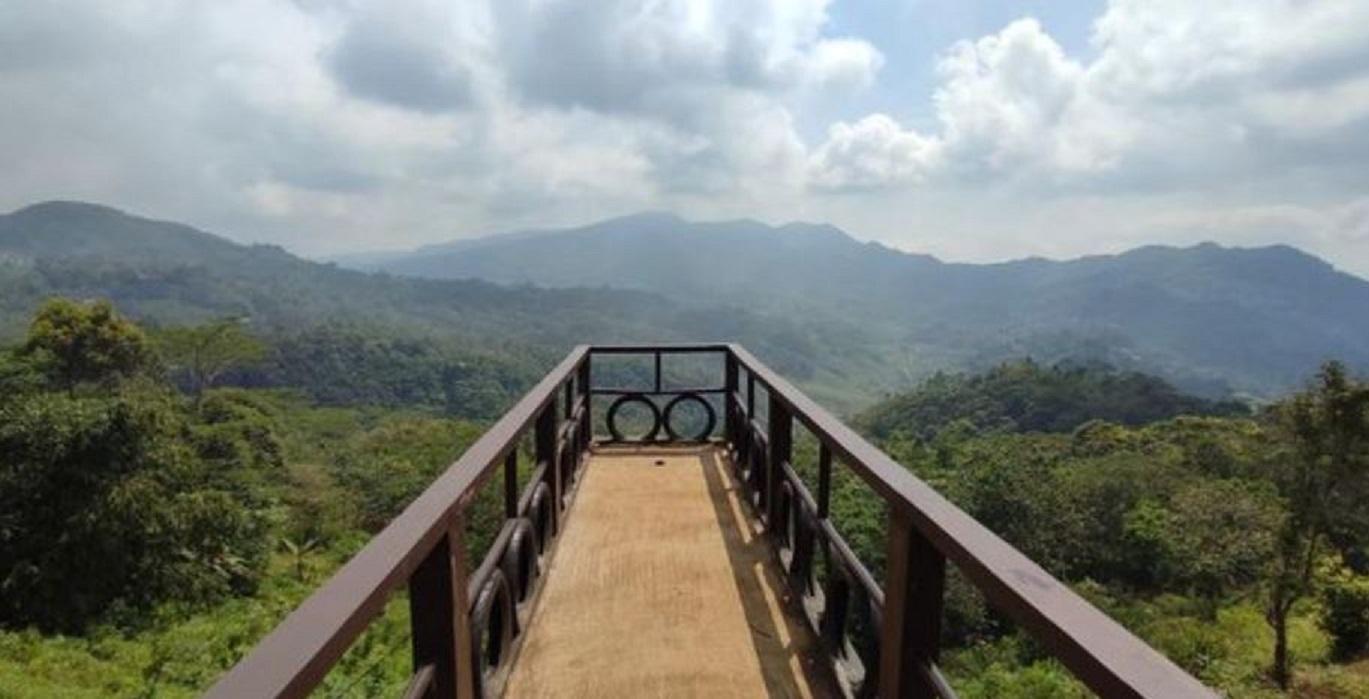 Objek wisata Puncak Pinus Kertajaya Ciamis.
