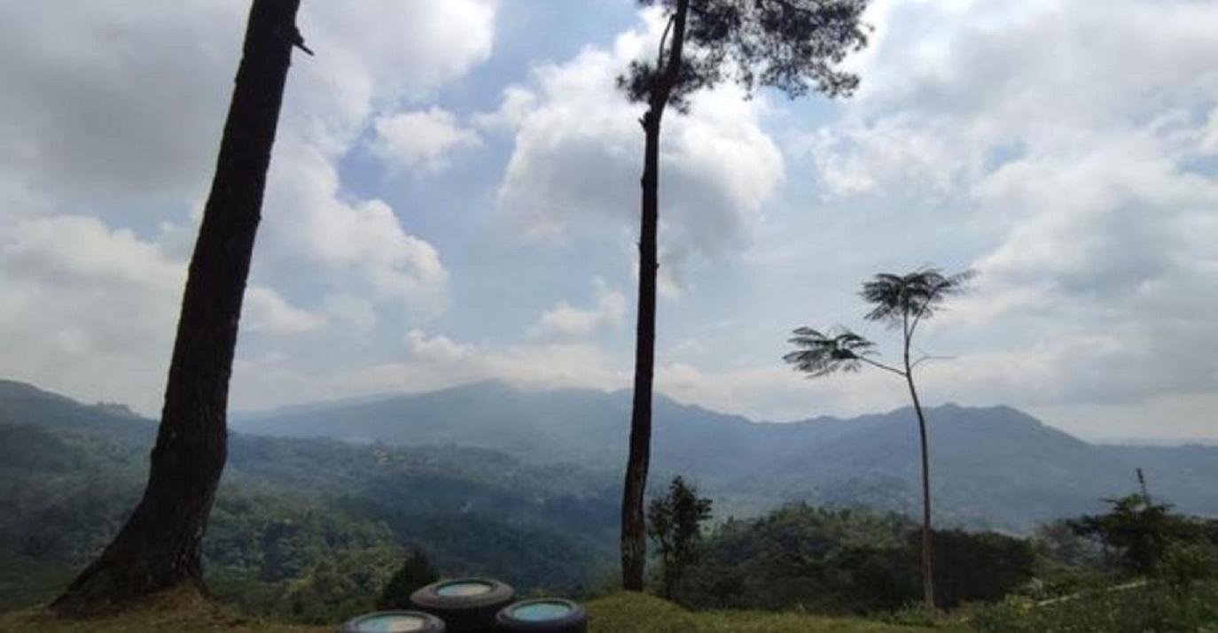 Objek wisata Puncak Pinus Kertajaya Ciamis.