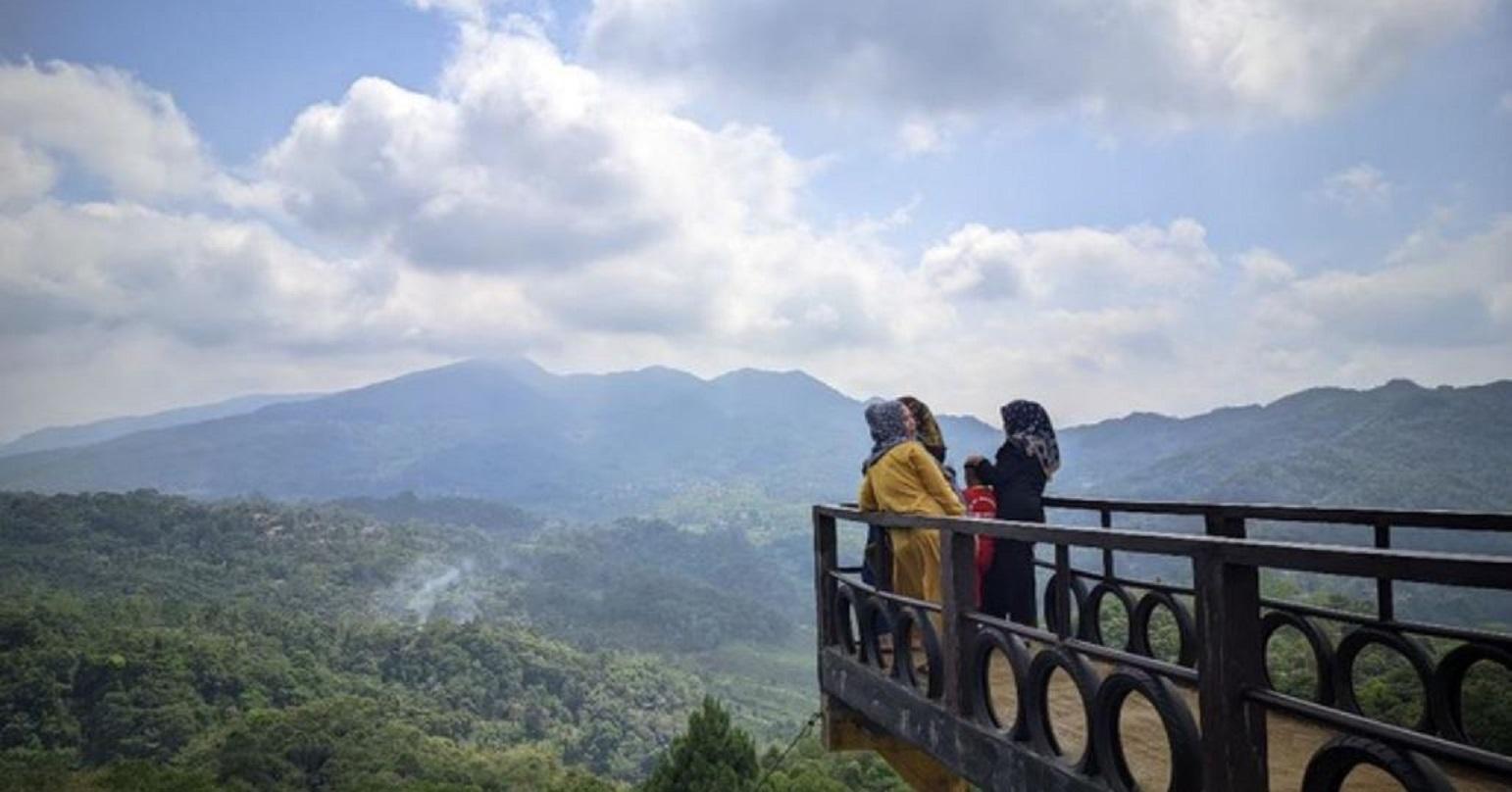 Objek wisata Puncak Pinus Kertajaya Ciamis.