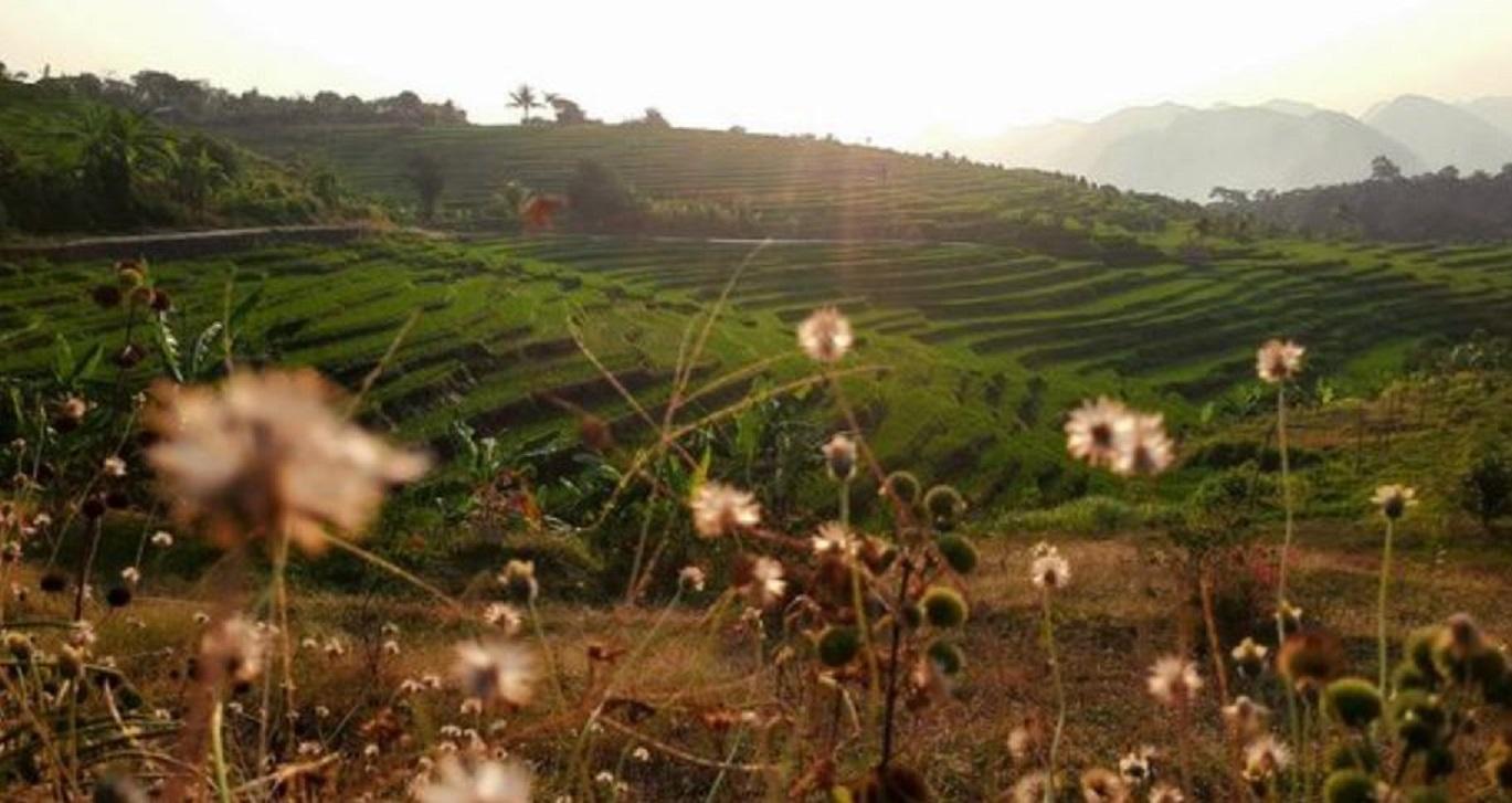 Suasana mini terasering di Desa Kaduela, Kabupaten Kuningan.