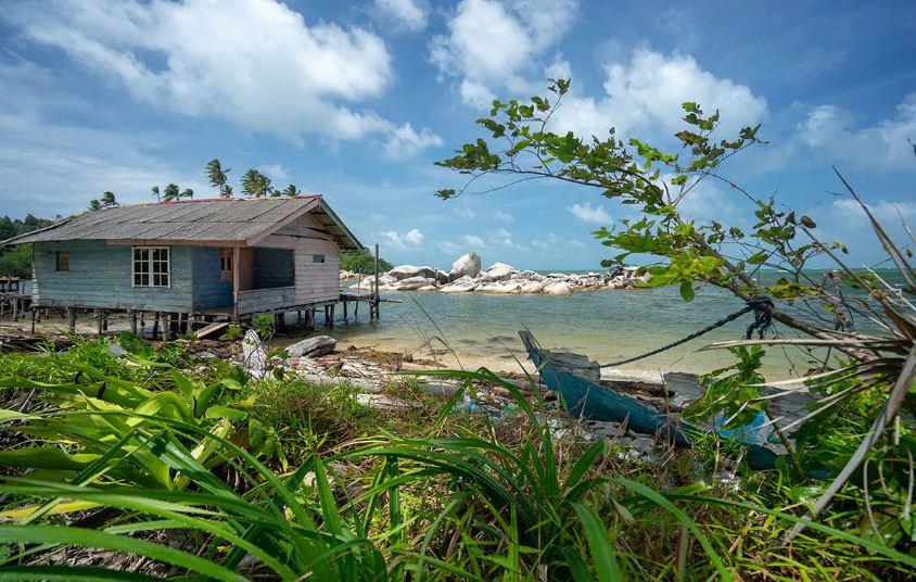 Pantai Desa Pengudang yang menakjubkan dan hutan bakau yang melimpah.