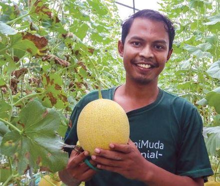 Juara Petani asal Desa Karangpucung, Kecamatan Kertanegara Tri Bowo Pangestika memperlihatkan hasil produksi melonnya.
