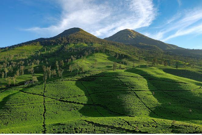 praikraan cuaca wonosobo