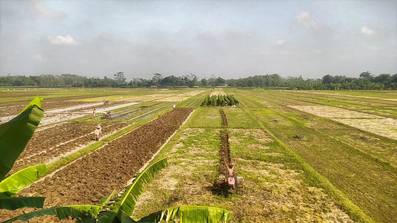 Kalialang Terima Bantuan Pompa Air Dari Kementan Untuk Mengairi LTH Seluas 46 Ha. 1 lahan tadah hujan (LTH) seluar 46 ha
