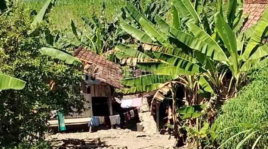 rumah warga Grobogan yang tinggal di tengah hutan pinggir rel kereta api