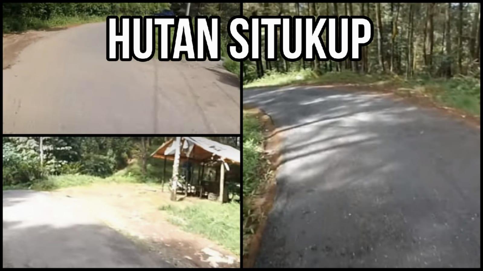 Hutan Situkup Kaliwiro: Saksi Bisu Perang Jawa