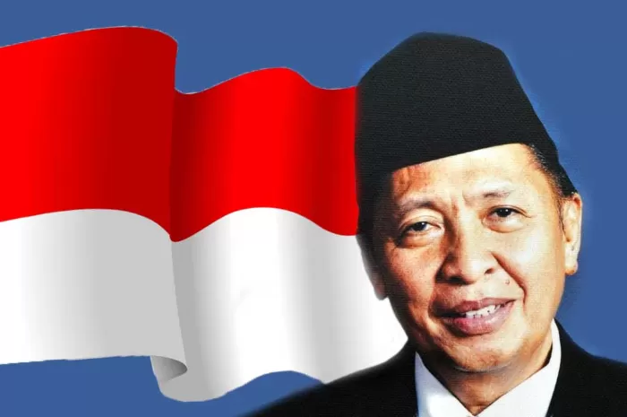 Wakil Presiden ke-9 Republik Indonesia, Hamzah Haz