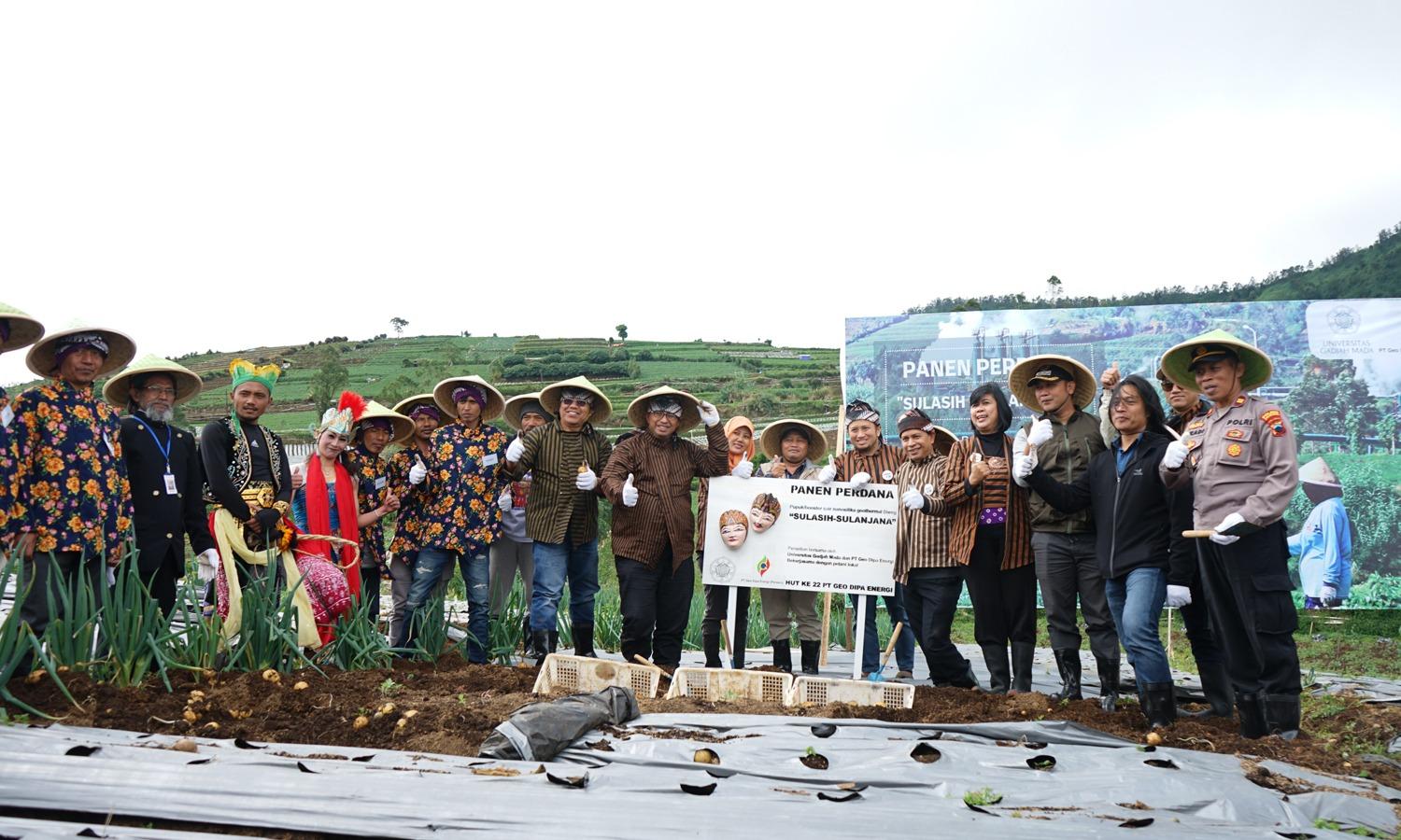 PT. Geo Dipa Energi (Persero) bekerjasama dengan Universitas Gadjah Mada (UGM) Yogyakarta menggelar panen perdana kentang yang menggunakan Pupuk Silika Sulasih Sulanjana. Panen perdana dilakukan Dekan Fakultas Teknik UGM, Prof. Dr. Selo, bersama Dirut PT Geo Dipa Energi (Persero) Yudistian Yunis, Camat Batur Aji Piluroso, kepala-kepala desa, para petani mitra di seluruh Kecamatan Batur, dan tokoh-tokoh masyarakat di lahan demplot milik petani di Dusun Krajan, Desa Karangtengah, Kecamatan Batur (Banjarnegara) pada Jum’at (5/7/2024).