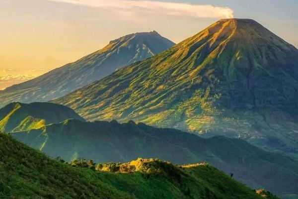 sumbing