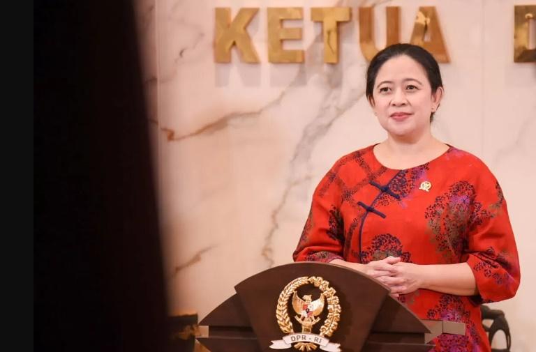 Ketua DPR RI Puan Maharani. (IST)