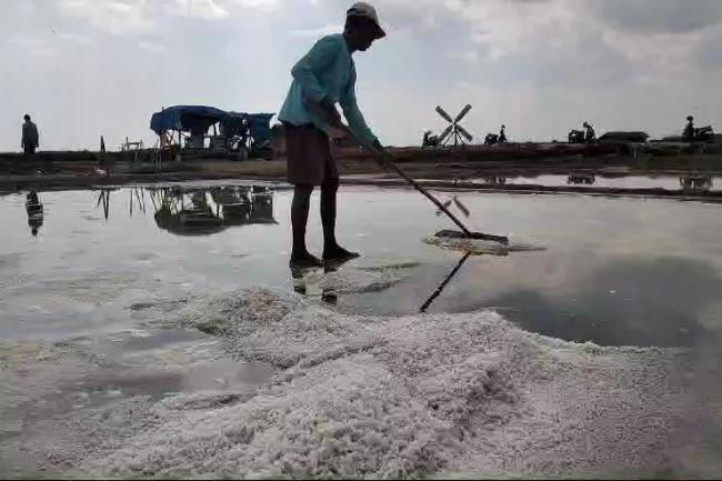 Seorang petani garam di kabupaten Pati tengah memanen produksinya. (IST)