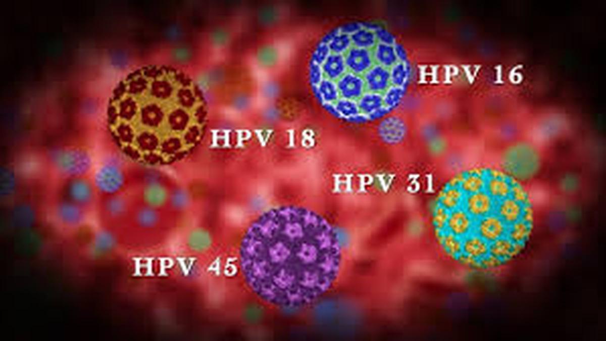 ilustrasi virus HPV