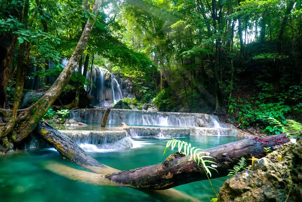 wisata